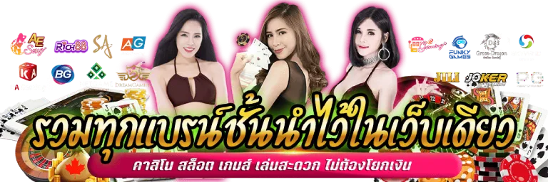 winsor588